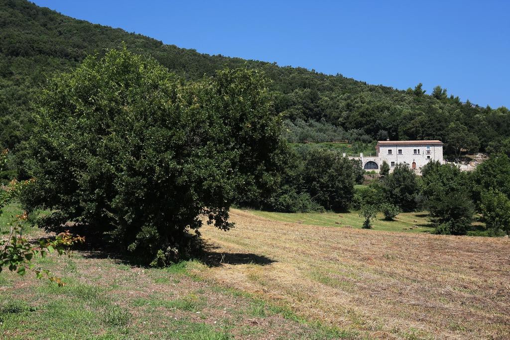 Antico Casolare Ceselenardi - Casa Vacanze