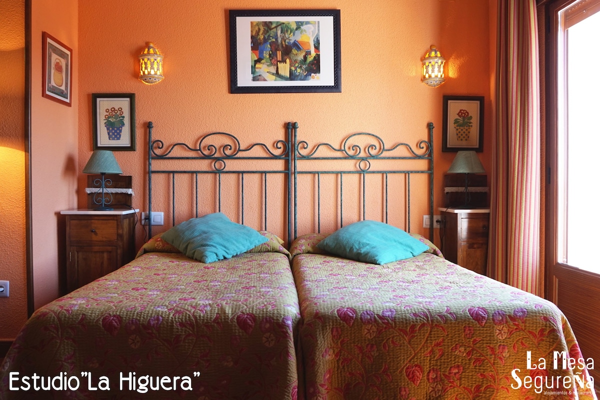 舒适的单间公寓「La Mesa Segureña」