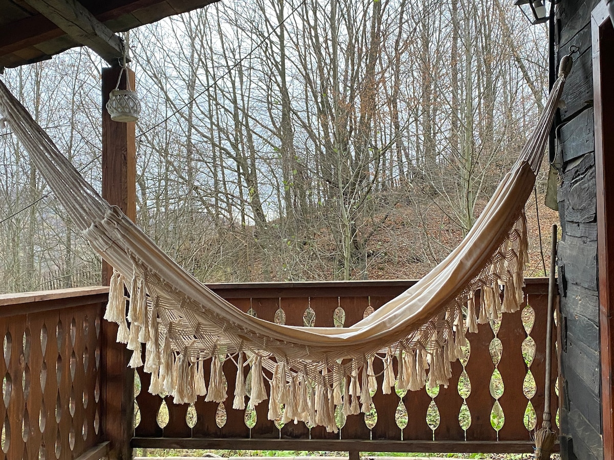 Transylvania Mountain Log Cabin - The Bliss House