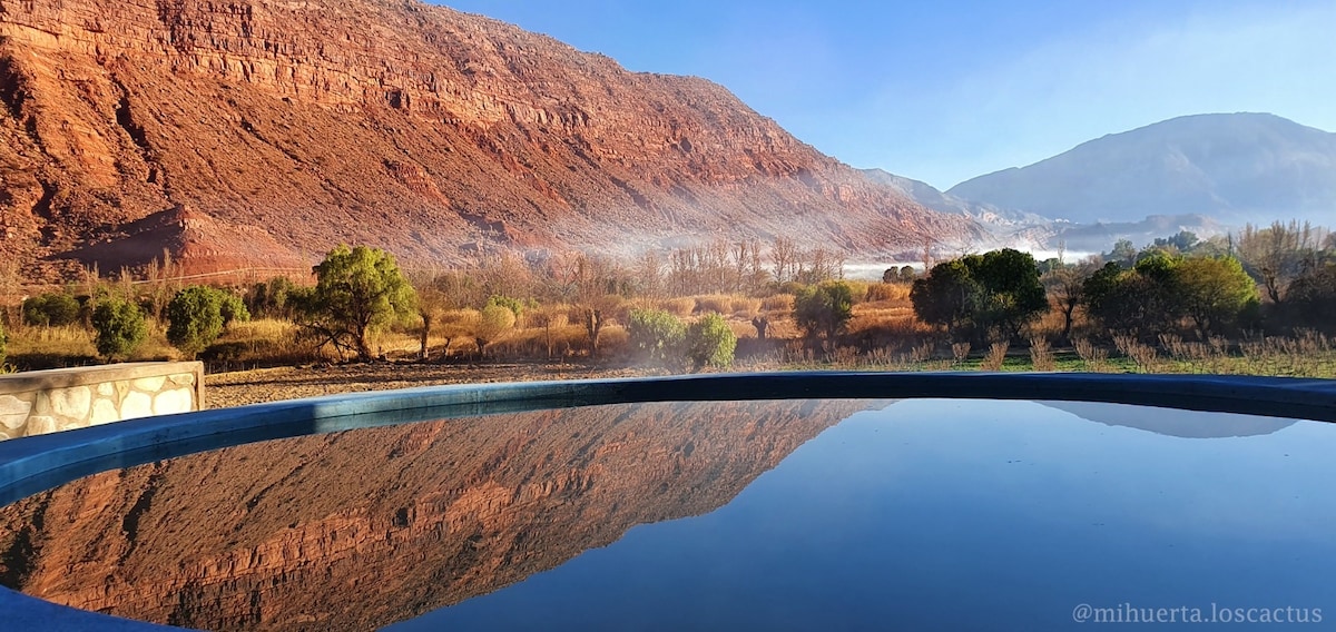 Mi Huerta ， Hacienda Los Cactus - El Papagayo