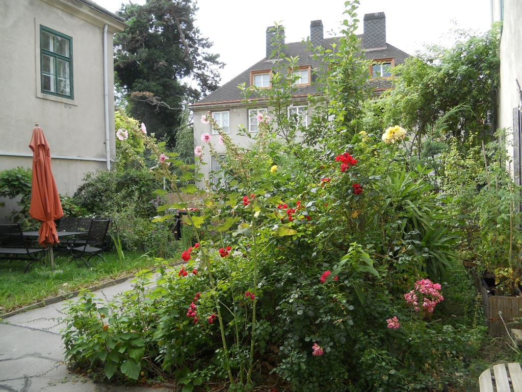 美丽的天气/花园-我在维也纳的家