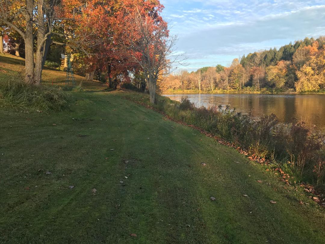 The Shallow River Abode