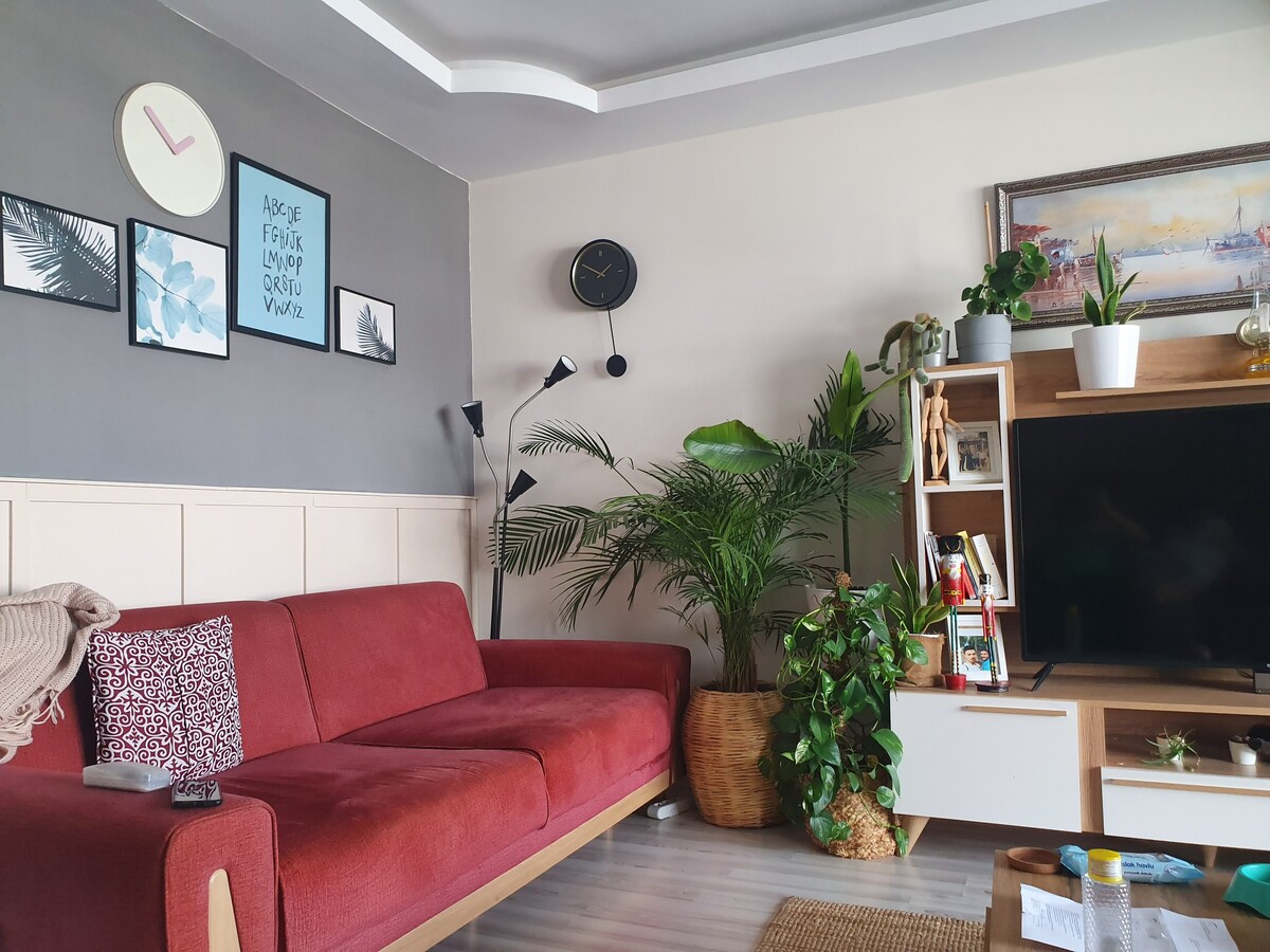 Bursa-En iyi Ev的最佳公寓