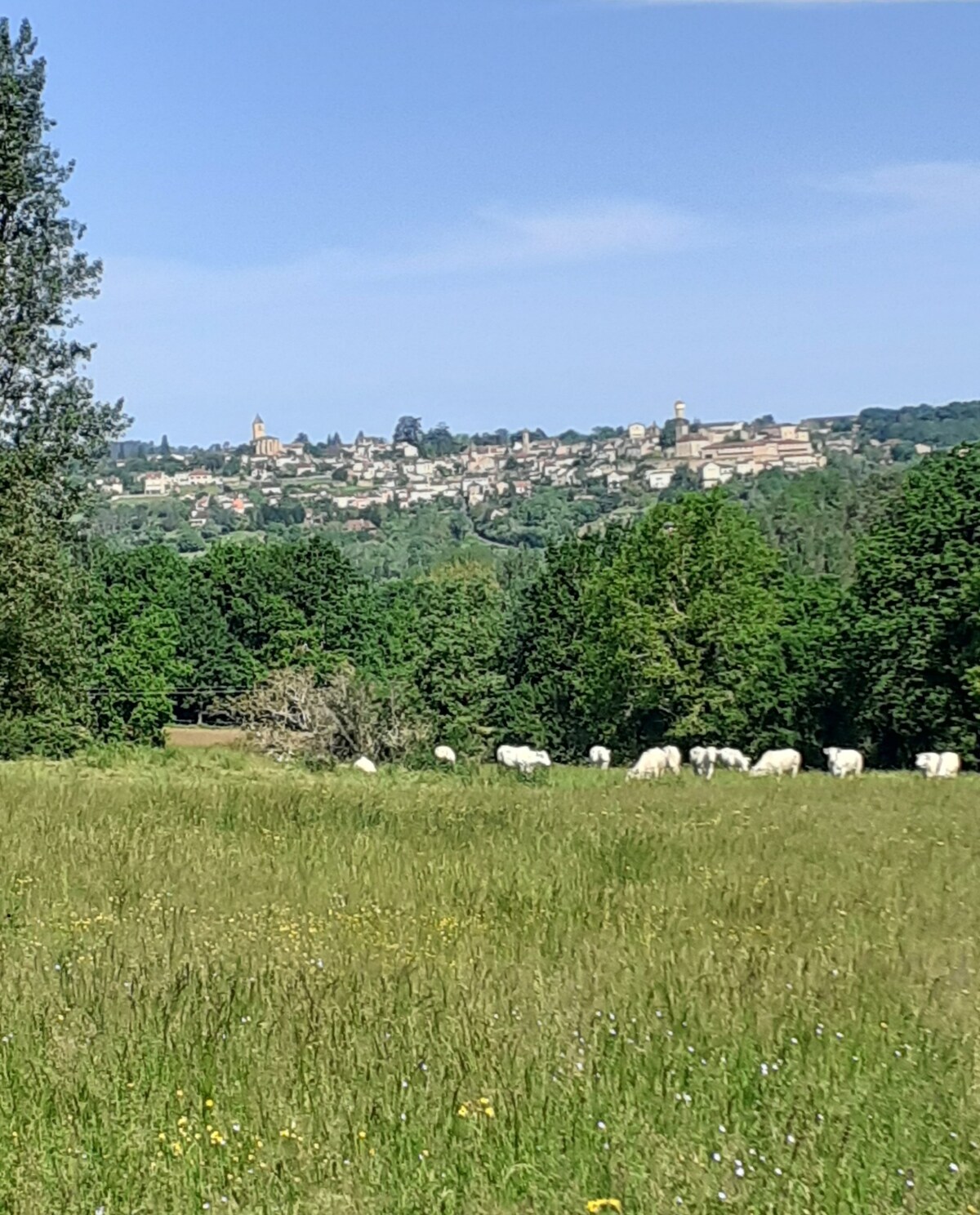 Pays-de-Belvès, Large Barn Conversion with a View