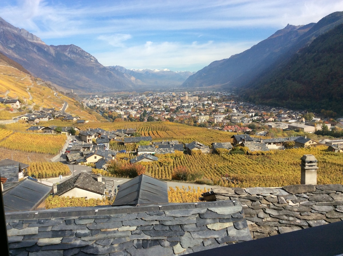 Chalet au coeur du vignoble de Martigny