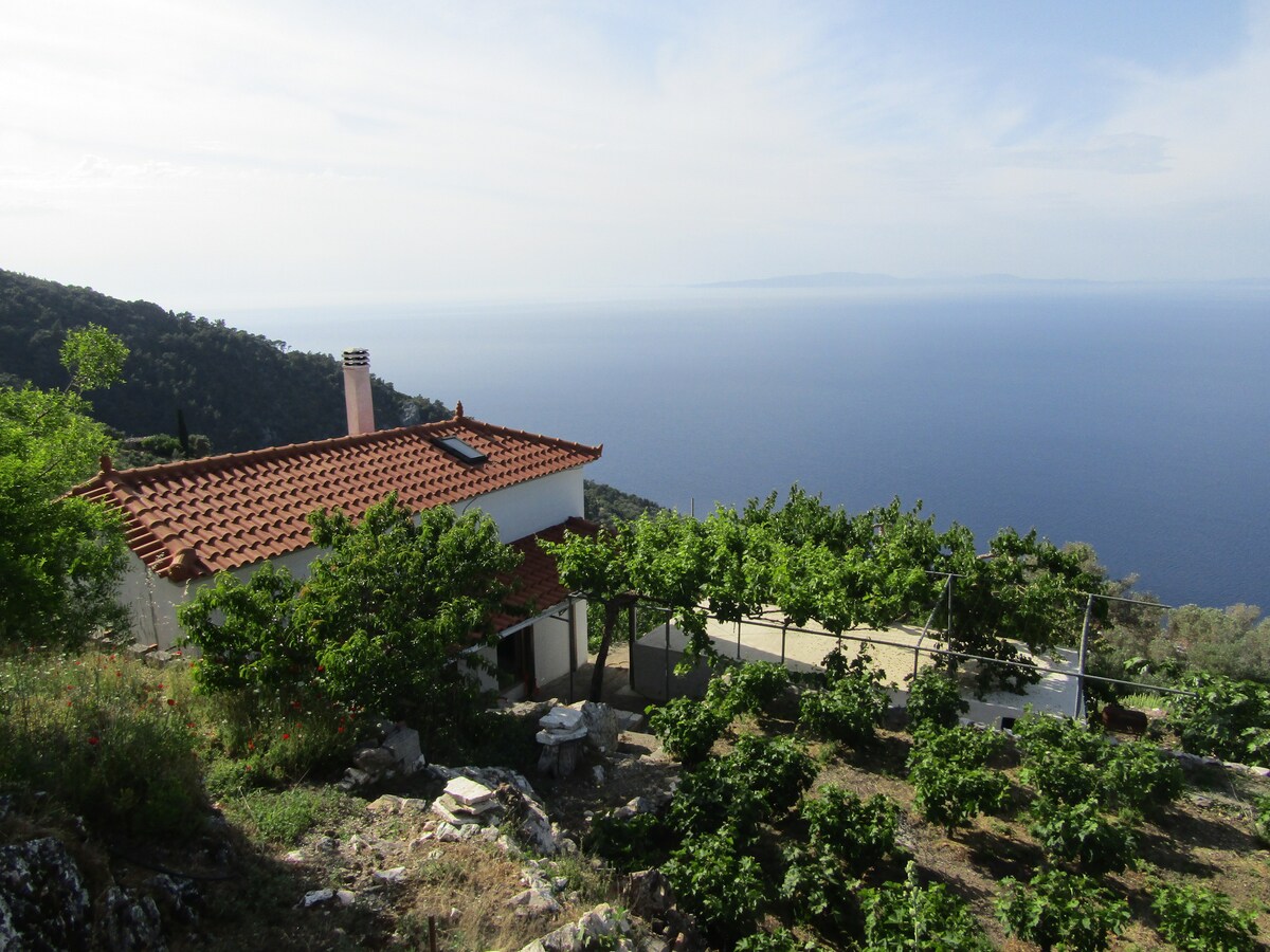 带海景的Ampelos House