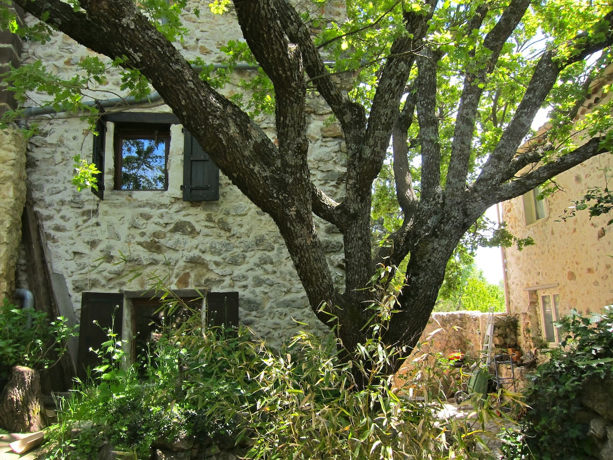 Lac de Ste Croix, House in Provence, Bauduen