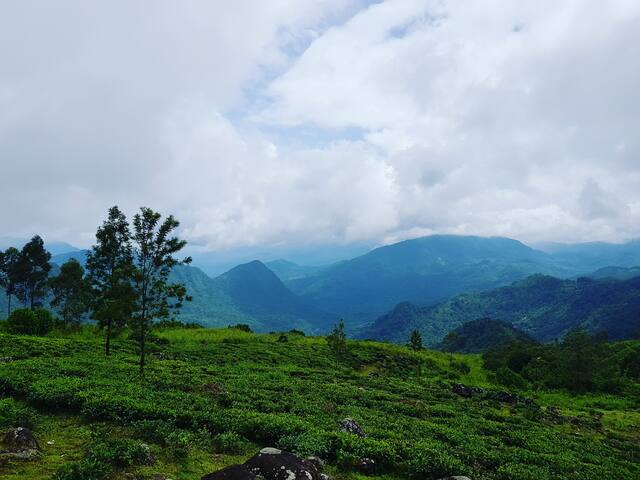 努沃勒埃利耶 (Nuwara Eliya)的民宿