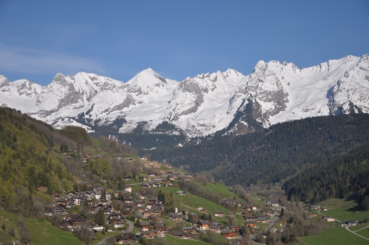 View of the Aravis from anywhere in the appartment