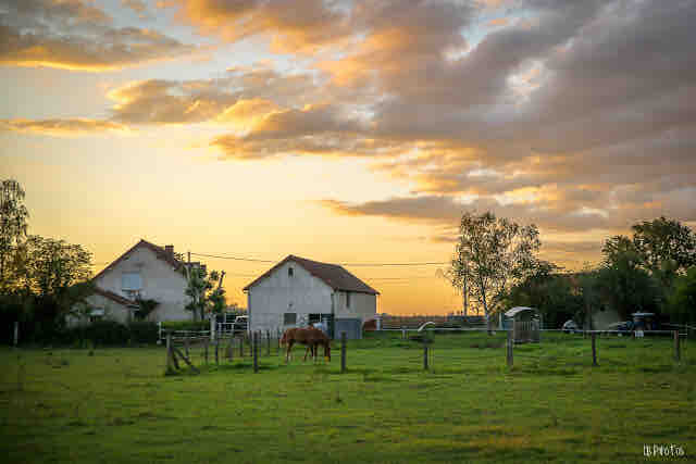 Studio en Auvergne: Le ruisseau