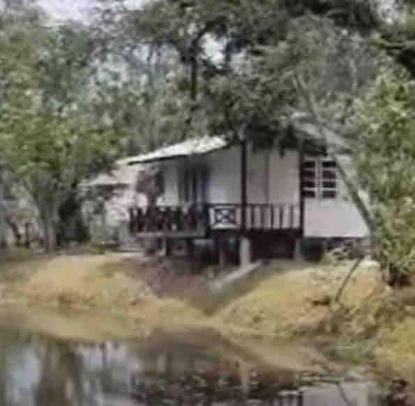 Family Lakeside Chalet