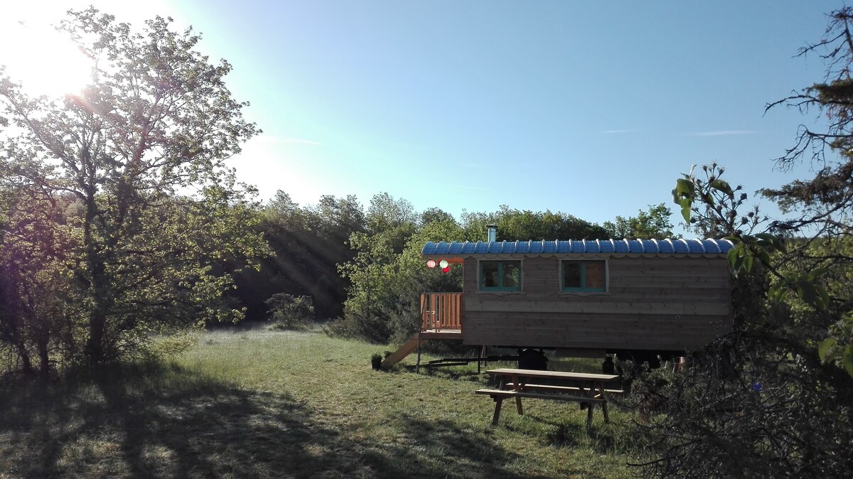 Beautiful ecological and autonomous Gypsy Caravan