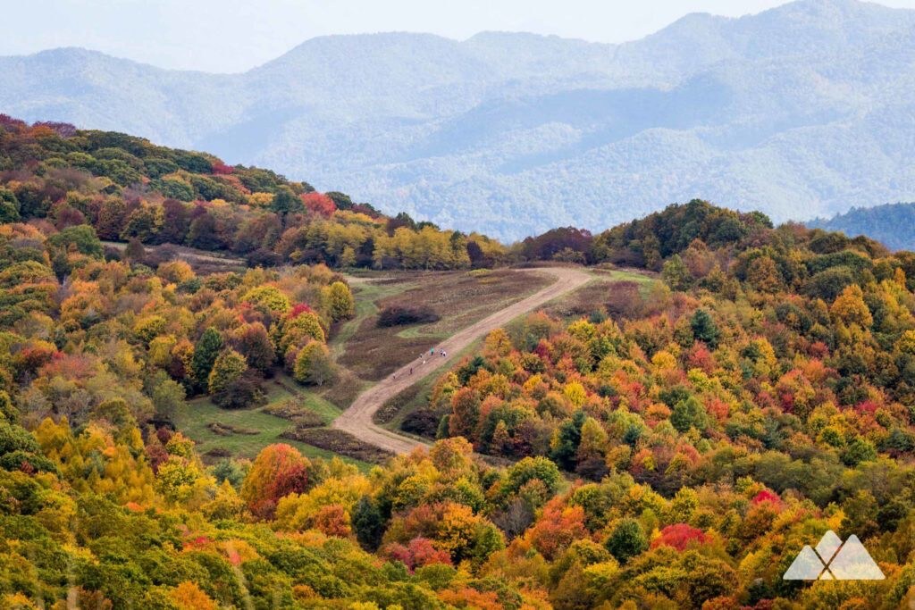 AT徒步旅行者！ Max Patch、温泉、烟草