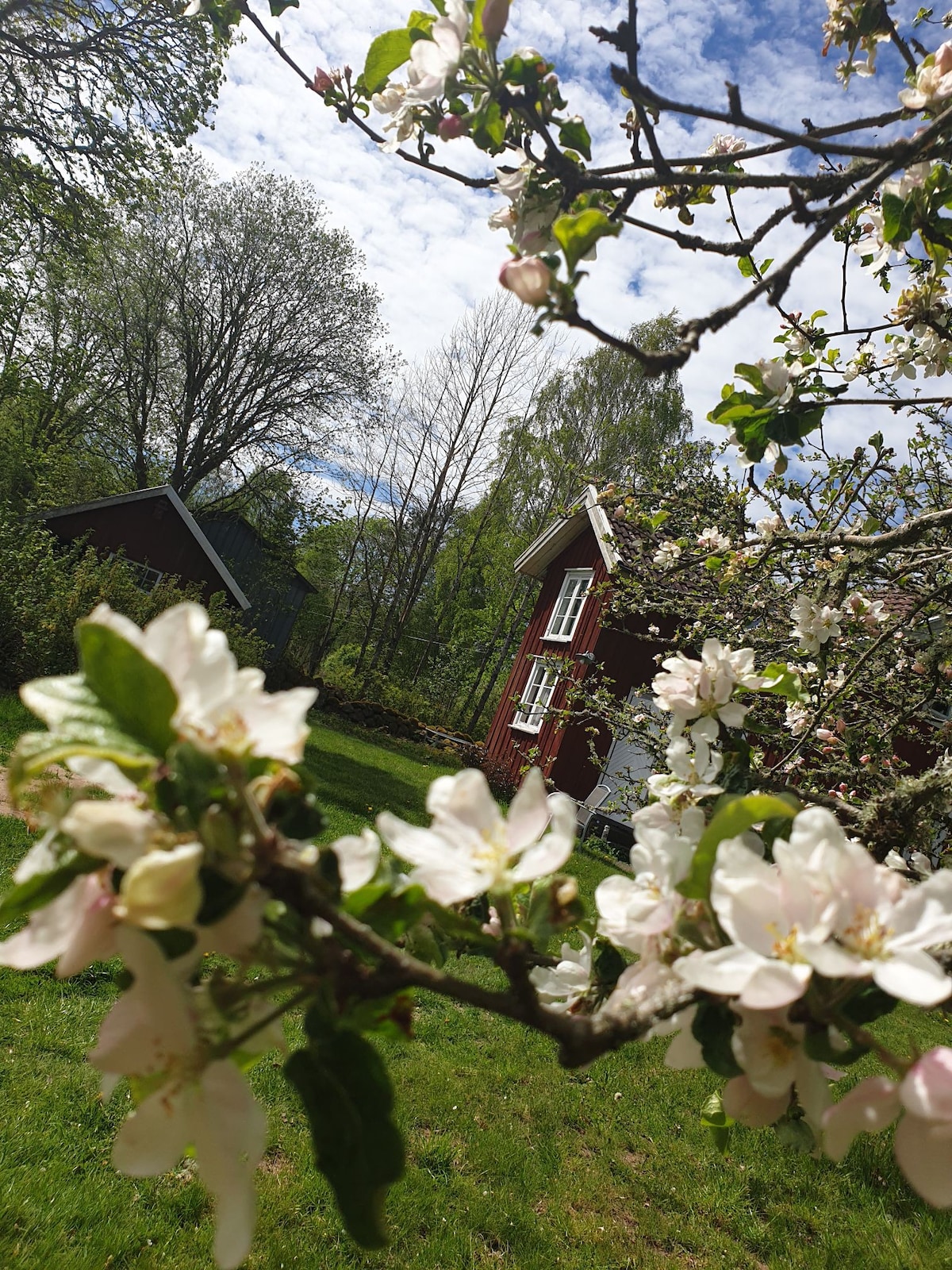 Mysigt Torp vid Herrljungas fina Golfbana!