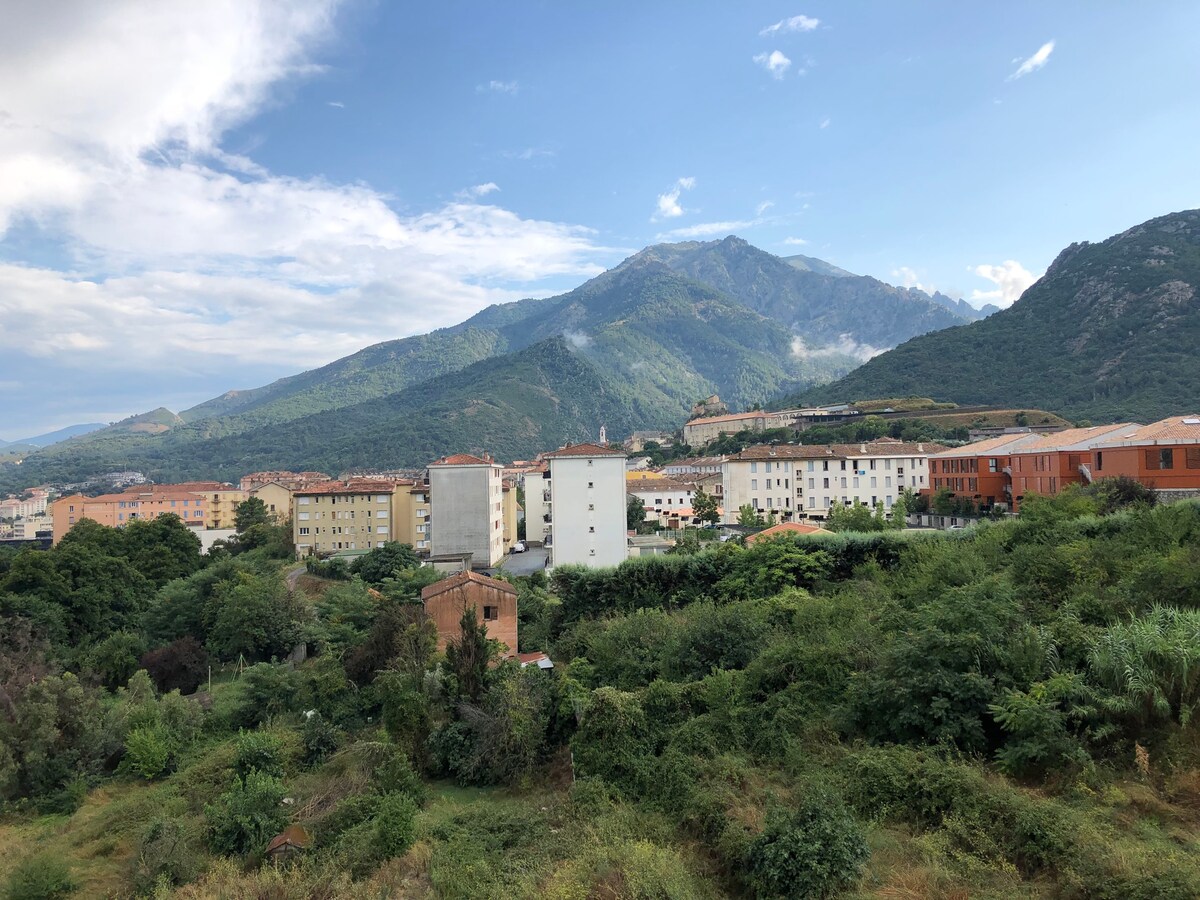 Studio centre ville - charmant vue montagne