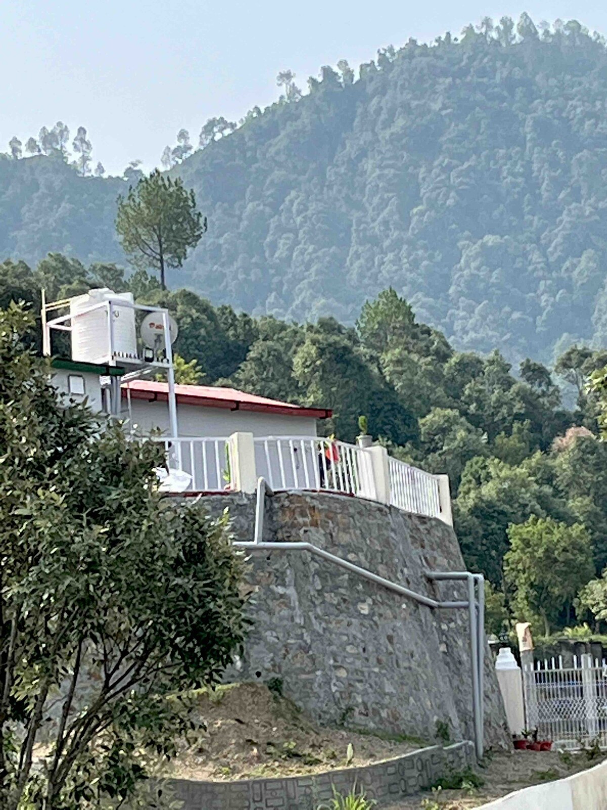 The Deodar 
The Himalayan Abode