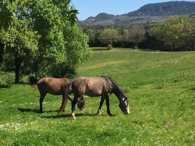 Grand gite "la Bergerie"