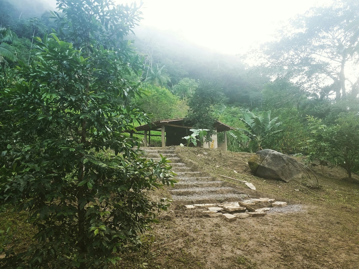Toca da Serra Forest的小屋