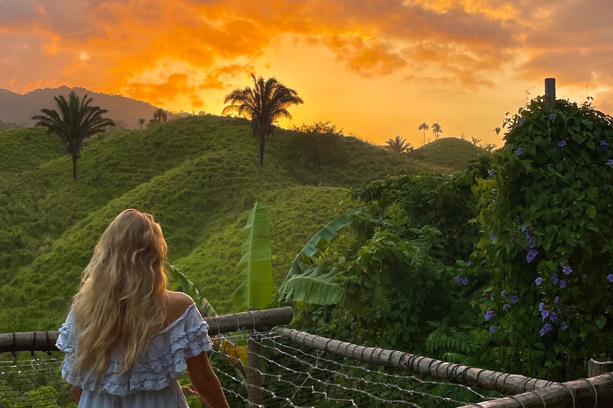 Jungle treehouse - Valley hostel