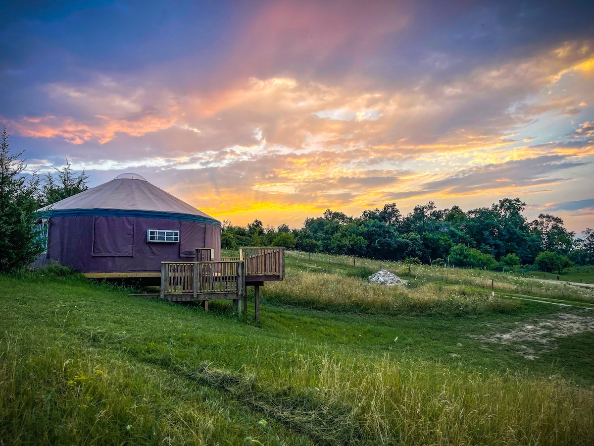 Yurt Glamping on a Magical Goat Farm