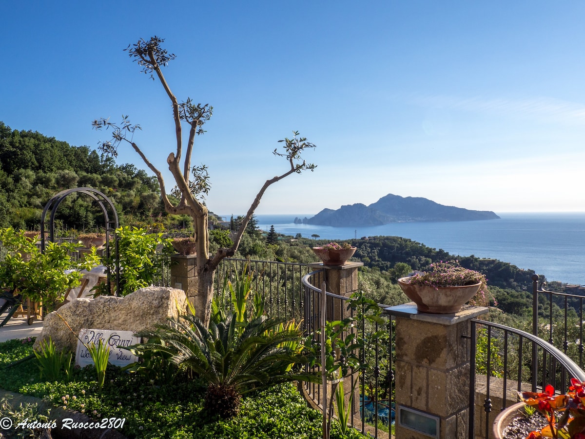 卡普里别墅（ Villa Capri ）美景。
令人惊叹的日落