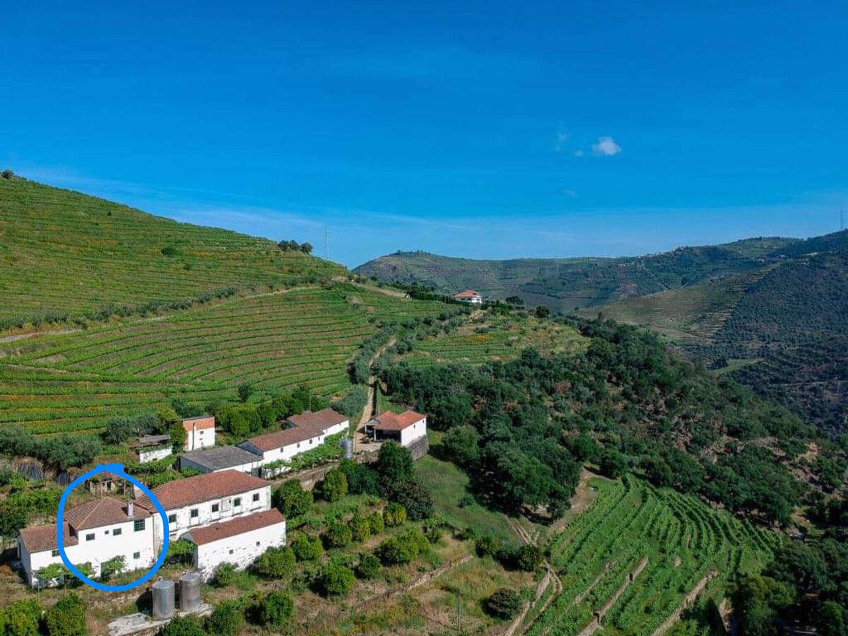 HOUSE in Organic Winery - Qta do Vilar Douro Valley