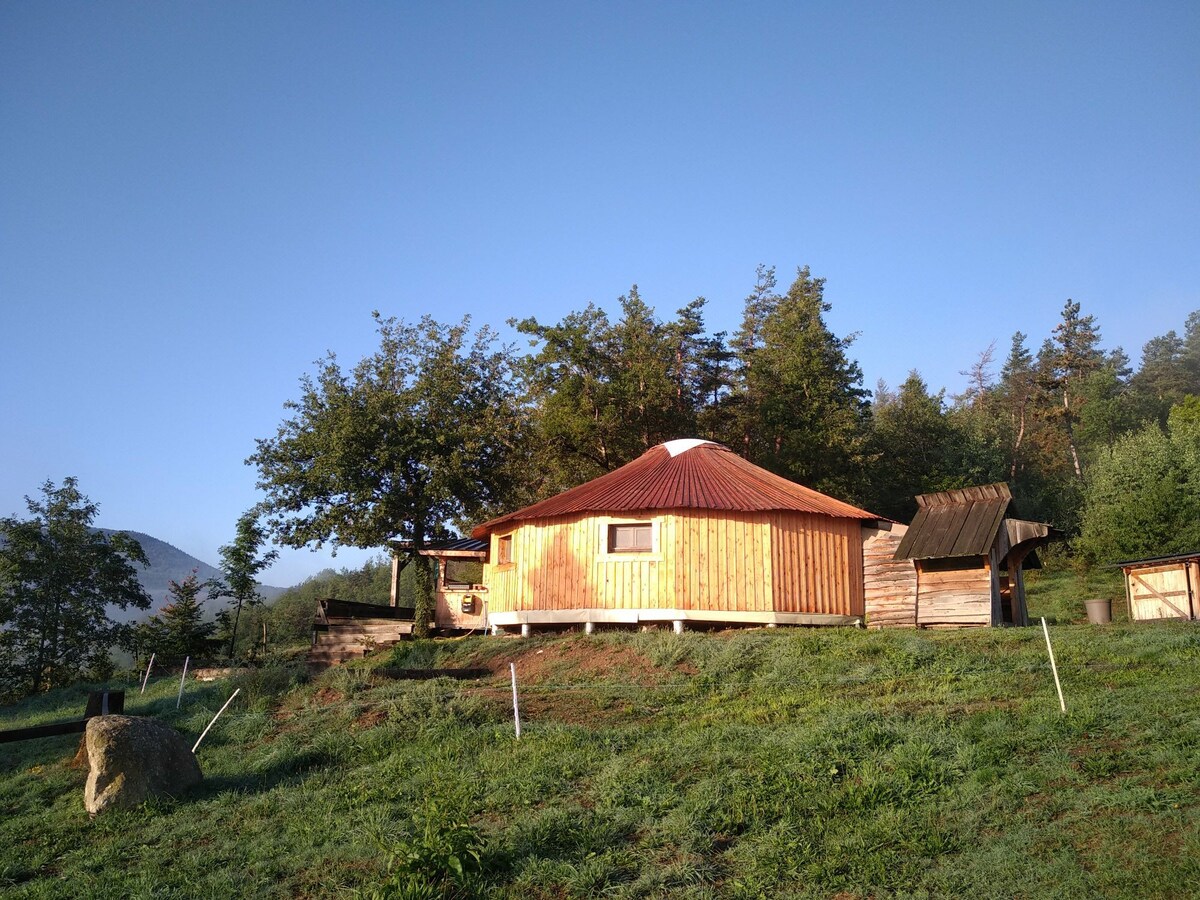 hutte en bois au milieu de la nature