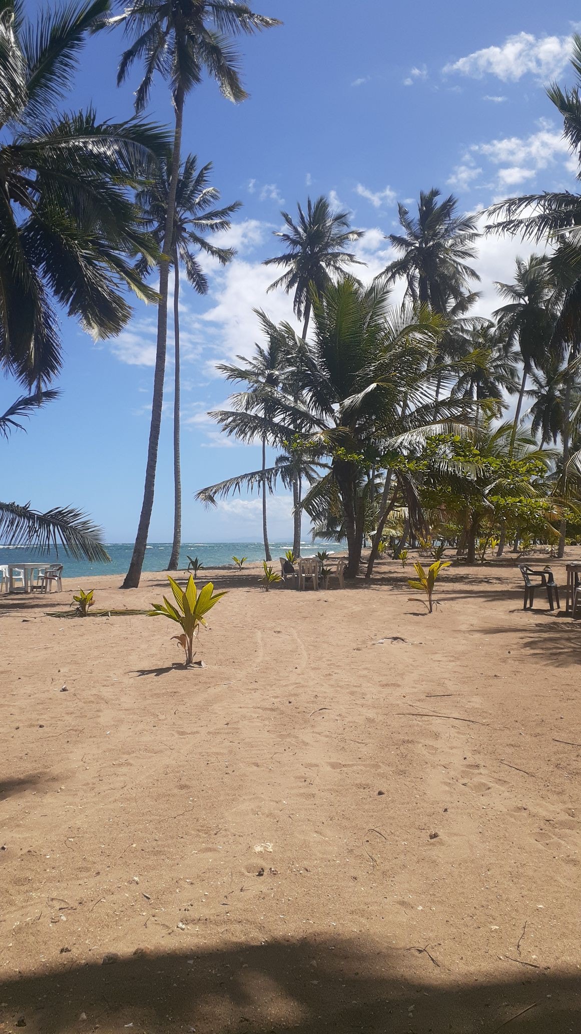 Nagua los Yayales por la playa cayena joselina