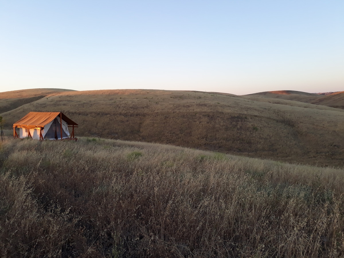 Blue Bonnet Ridge