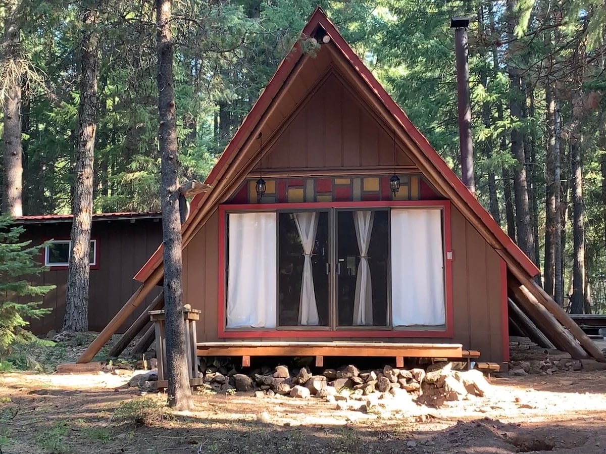 僻静的度假之旅：森林中的小木屋