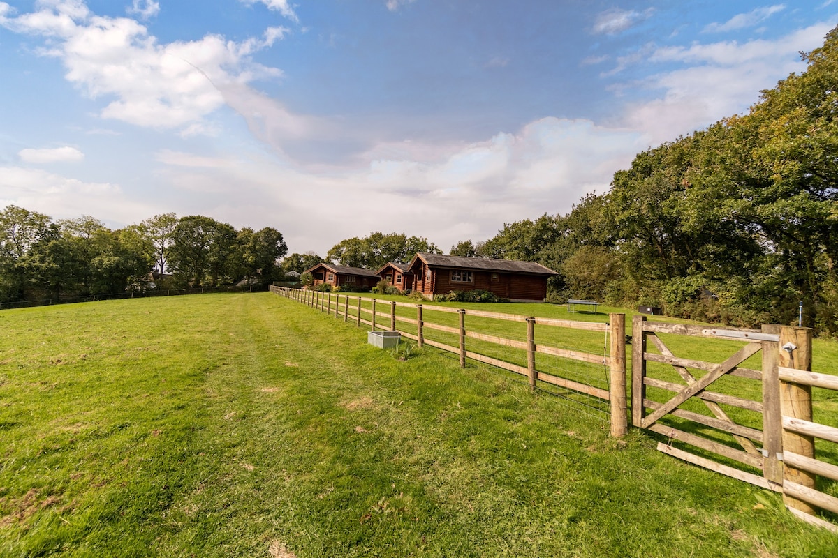 Brambles Lodge - stunning views towards Dartmoor