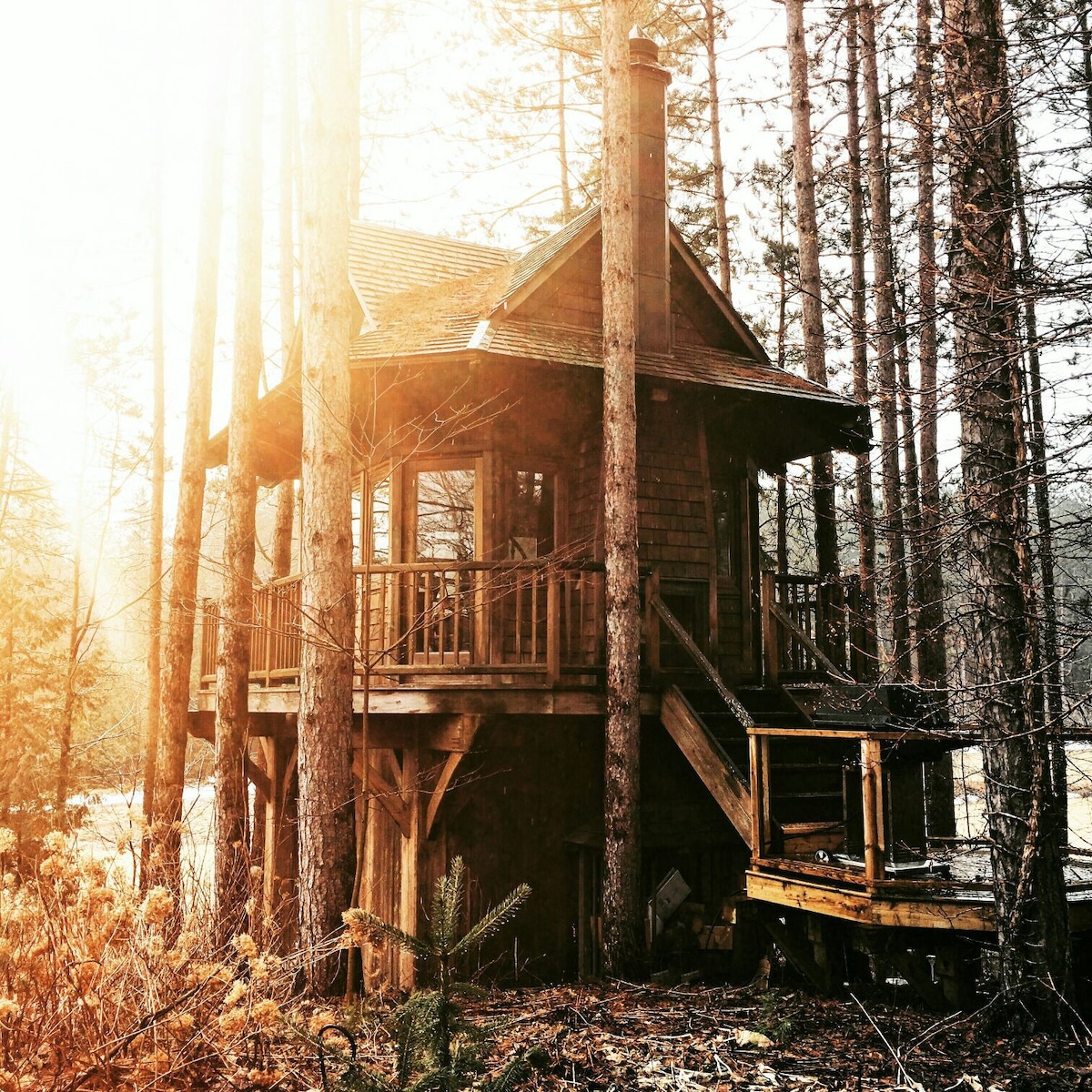 树屋，位于私密、与世隔绝的森林（ 300英亩）