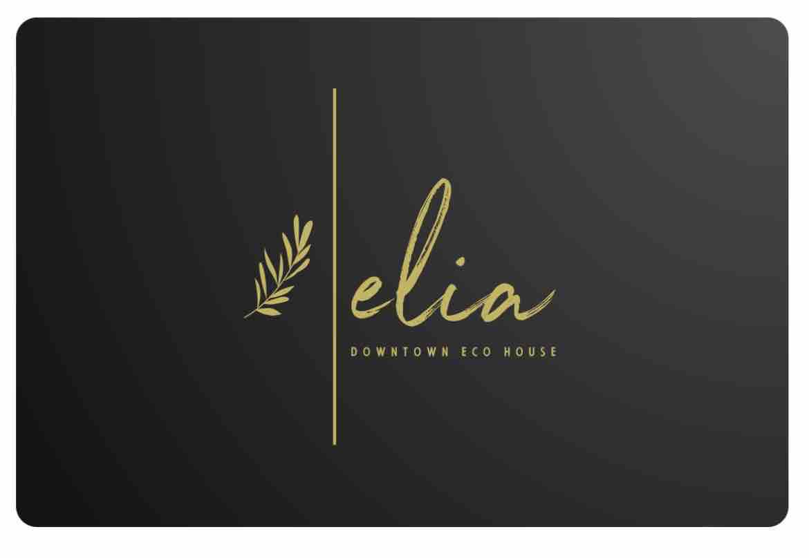 Elia downtown eco house