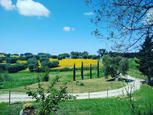 Montiano, Magliano in Toscana的民宿