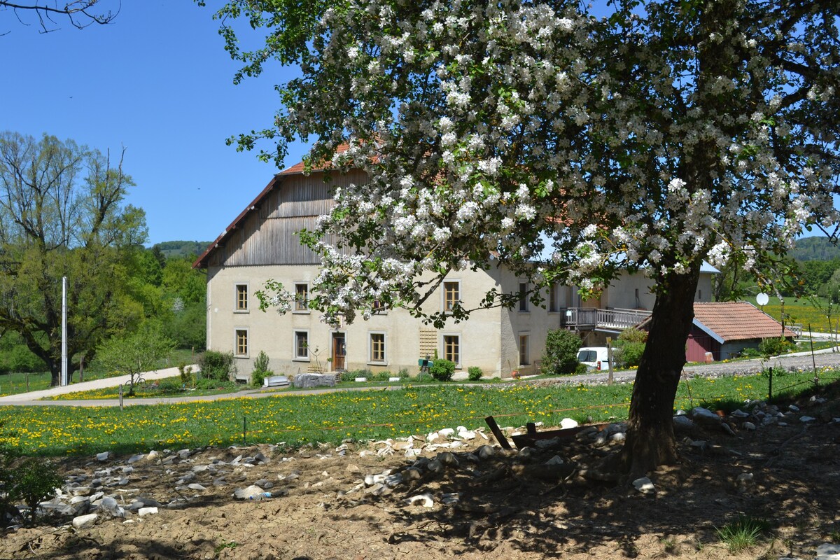 La grange des sapins