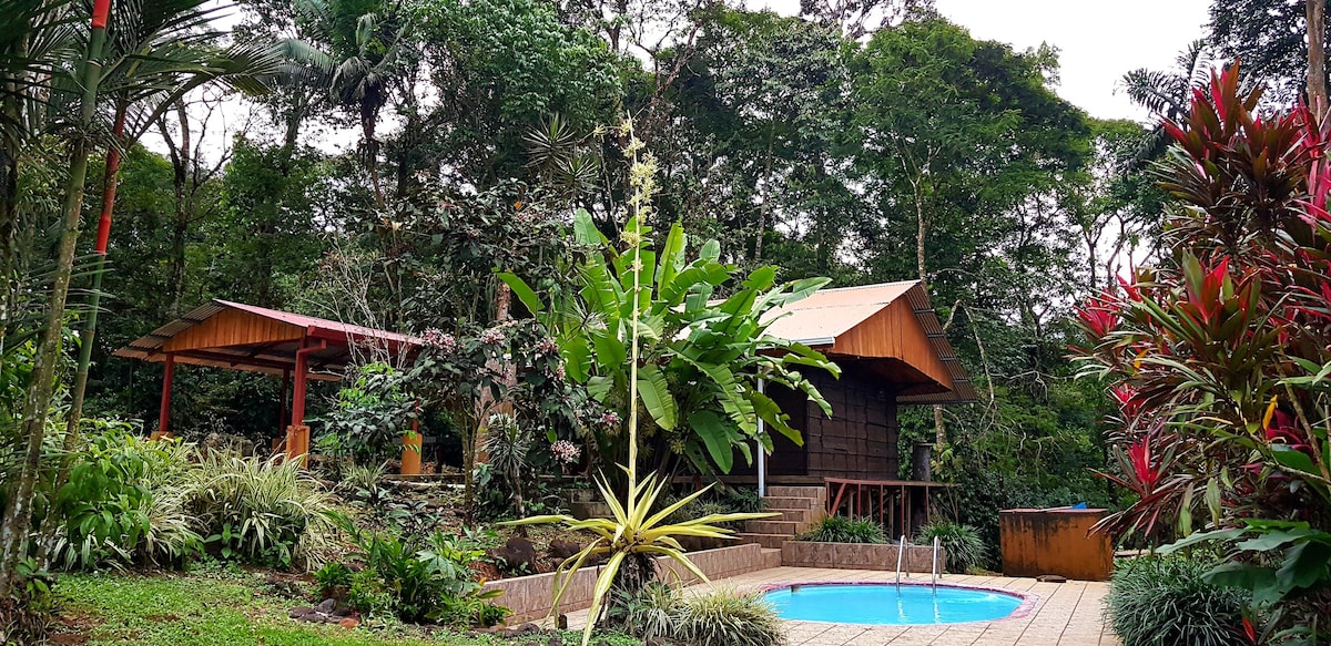 带大自然泳池的乡村小木屋。