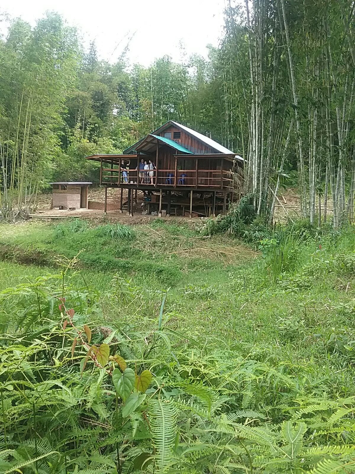 HILL HOUSE GARUDA是一座新建的森林小木屋。