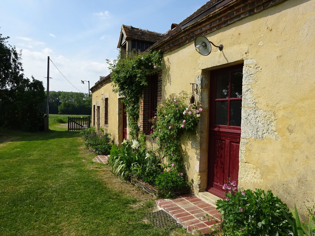 Chez Colette ， Aux Vignes