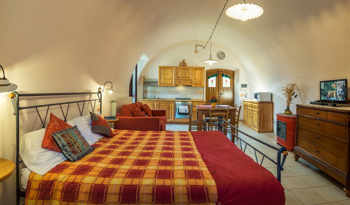 Comfortable studio apartment in Zorzino Castle