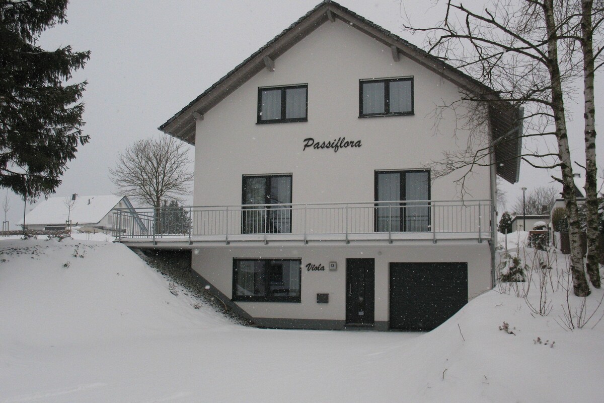 Holiday home in Medebach (D) near the ski area