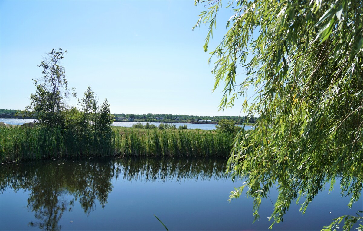 欣赏Bouctouche Bay景观- 1张床单间公寓