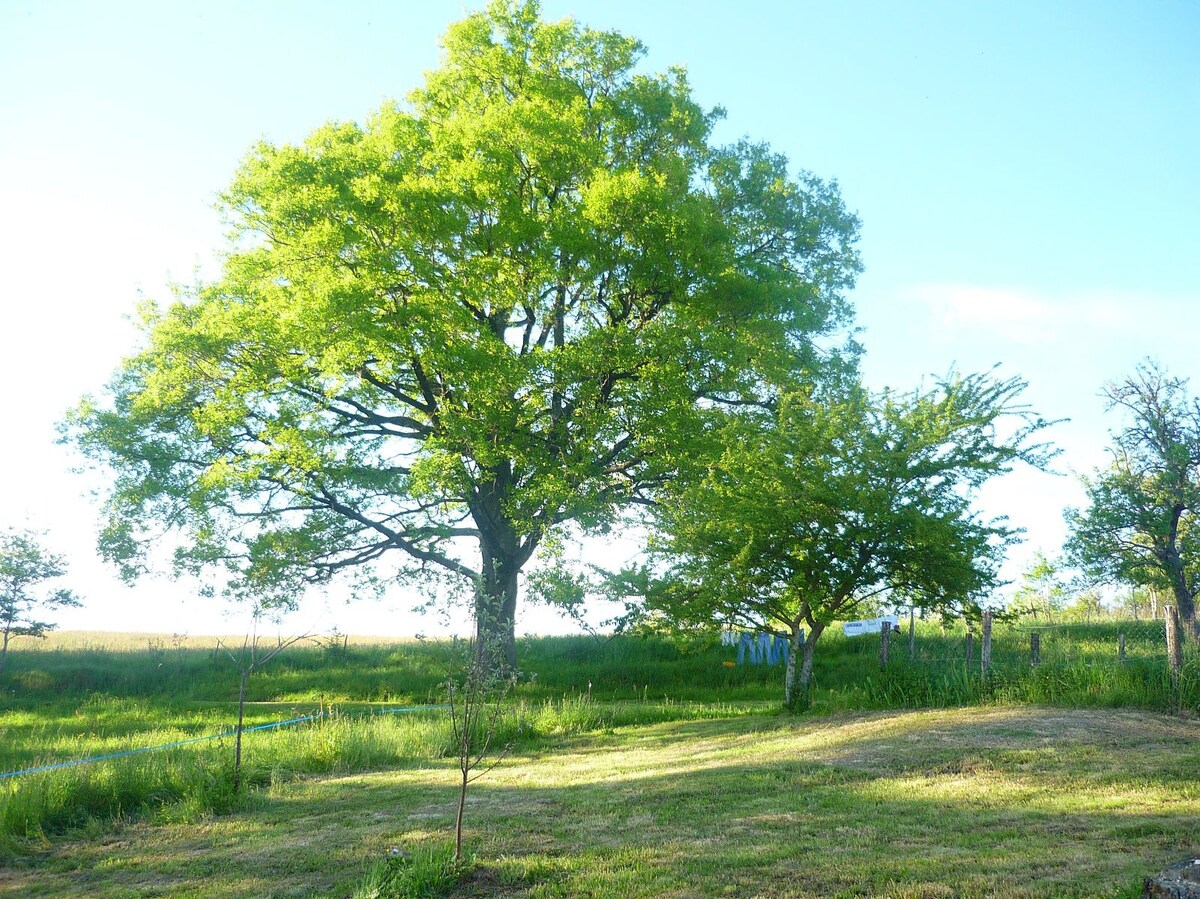 乡村小屋，位于市中心