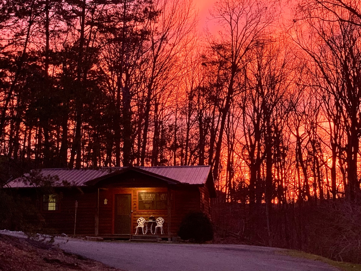 Mountain Cabin On 3 Wooded Acres