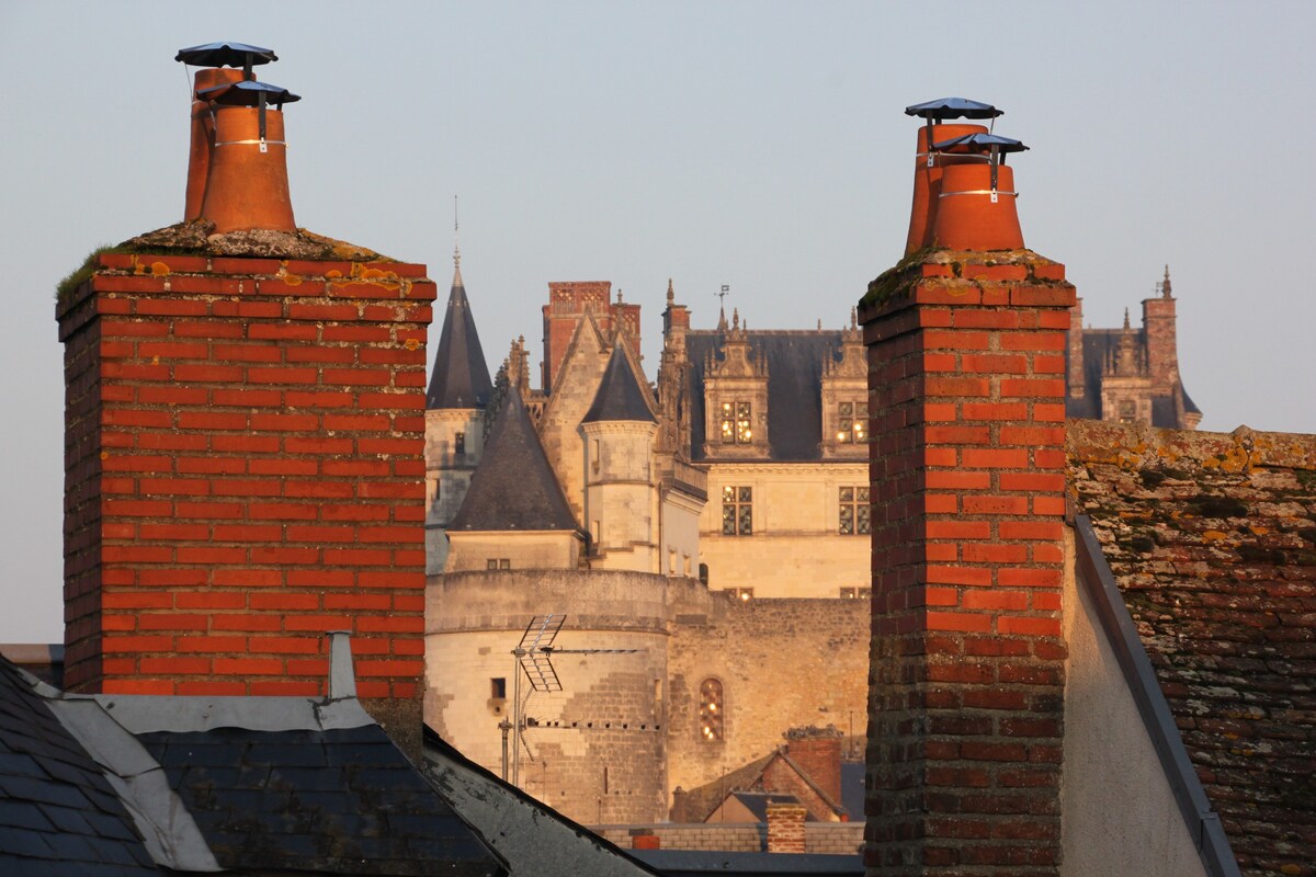 Plein Centre AMBOISE ，直达城堡景观！