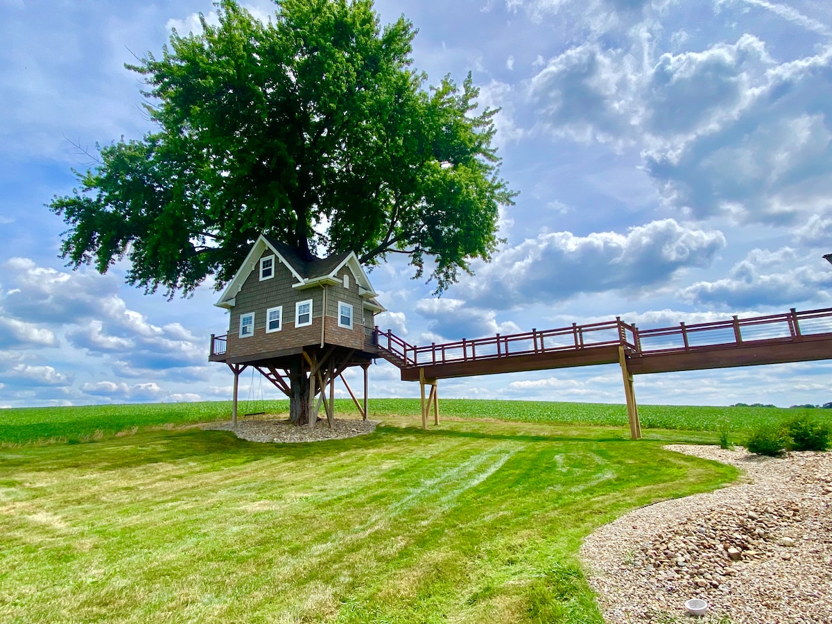 HOF Hilltop Castle with Treehouse