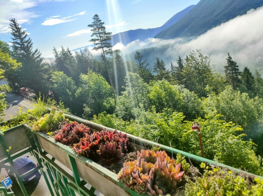 🌄 维也纳阿尔卑斯💒山套房