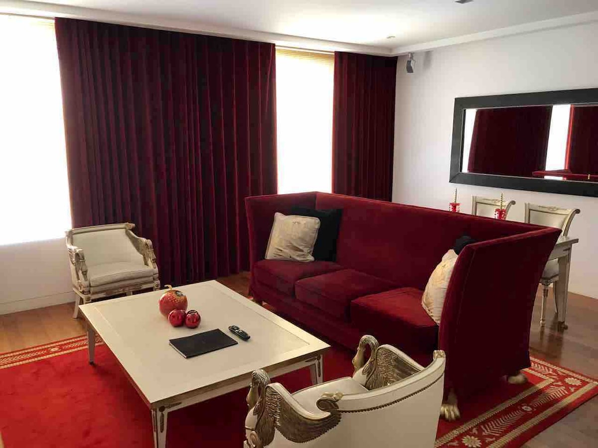 Hotel Faena公寓5 * Puerto Madero