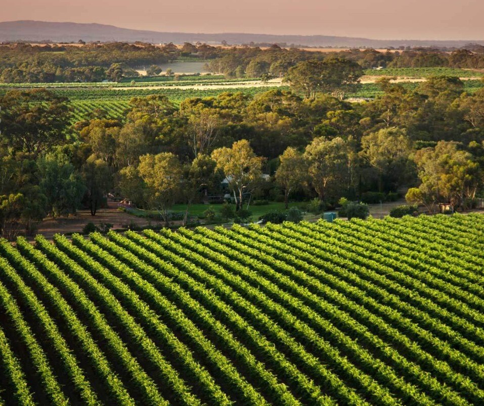 The Reserve Barossa Valley