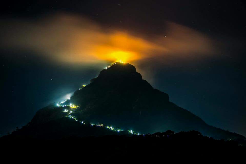 亚当斯峰（ Green House Adams Peak ）