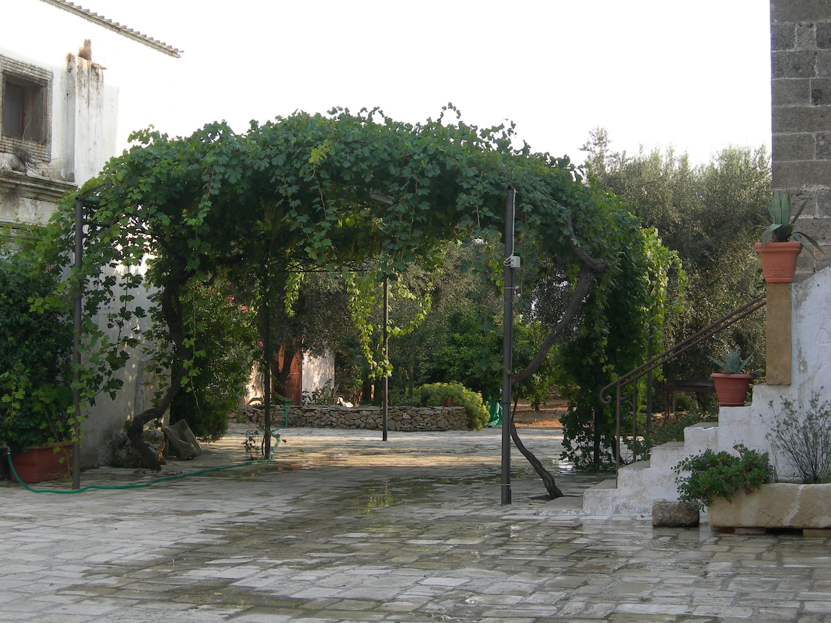 Wonderful estate (Masseria) - Loft Apartment